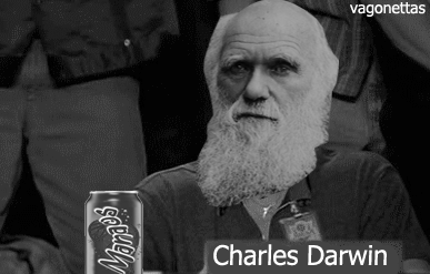 Darwin approuve le cycle d'évolution du gamer